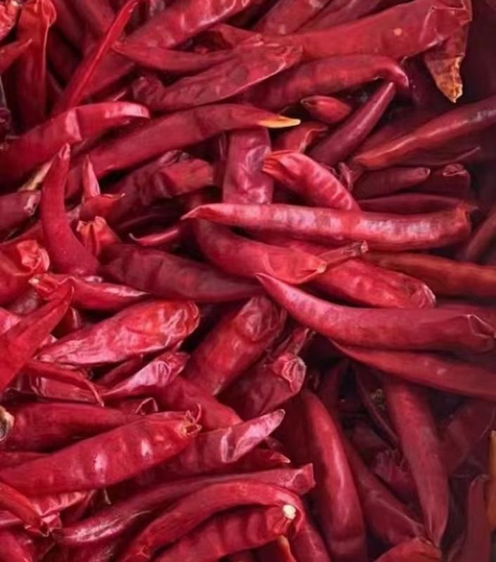 Bowl of mixed dry red chilis including cayenne and arbol