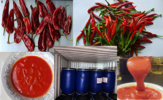 export Red Chili Series products | Fugo Best